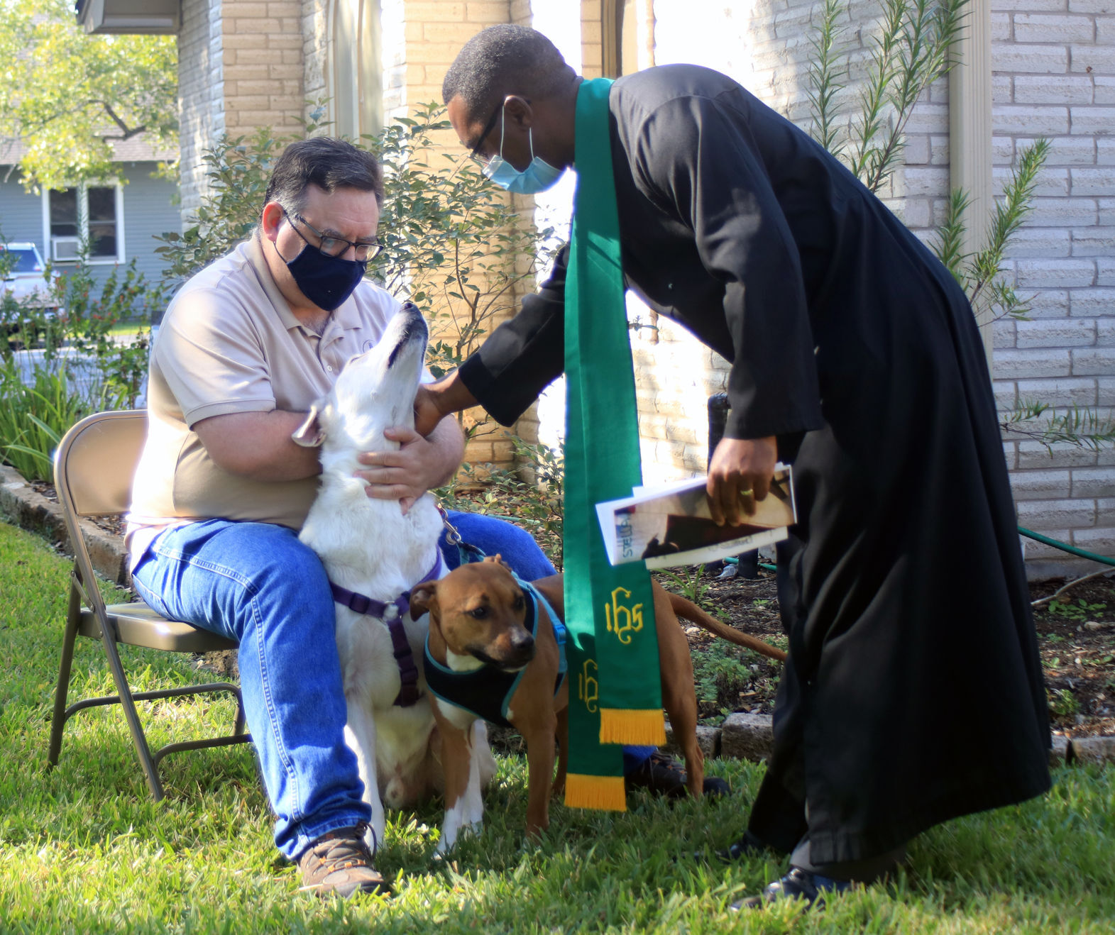 Blessing of the animals